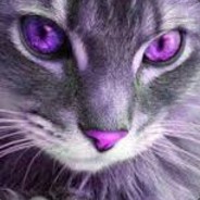 Lµ$♠╪|»u•╧ñ┘ÅÖ