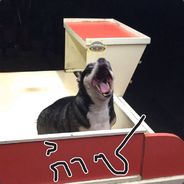 Moji