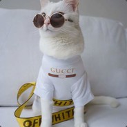 carry or techies !!!