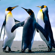 Un-Friendly Penguins