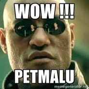 """"WOW PETMALU""""