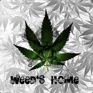 420_am.weed life