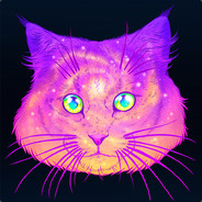 Galaxy Cat