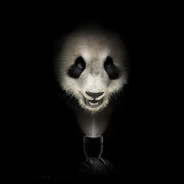 kappa(panda)