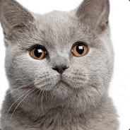 me0w