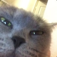 ЫыЫыЫ