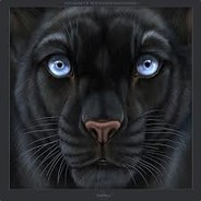 Bagheera