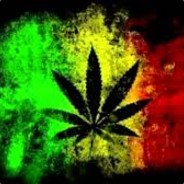 NaNuT Road To 1k