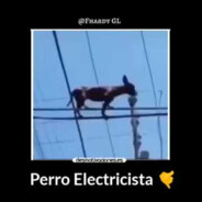 Perro Electricista 🤙