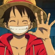 [ZOO]Monkey_D_Luffy