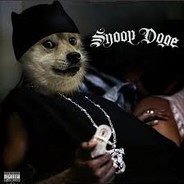 Snoop Doge