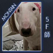 5F.Montain