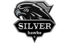 Silver Hawks