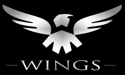 Wings Gaming Unity