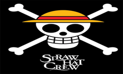 Straw Hat Crew