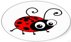 Lady Bugs 