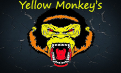 Yellow Monkeys