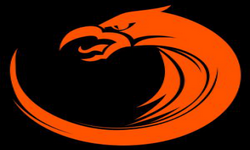 TNC   pro  gaming 