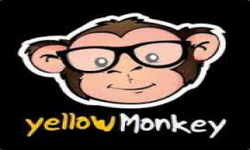 Yellow Monkeys