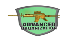 Advanced Organization