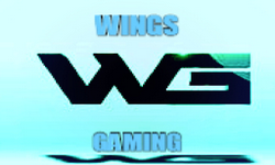 Wings Gaming