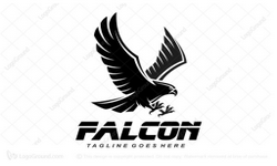 Pro Team Falcon