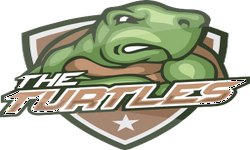 THE TURTLES IND