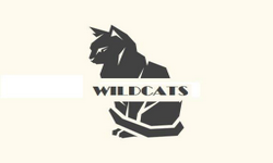 WILDCATS GAMING