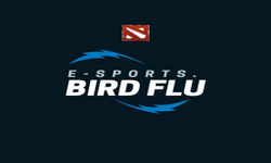 BirdFlu Gaming