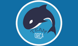 Team Orca