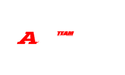 Team Anarchy