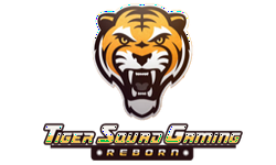 Tiger Squad Reborn 