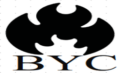 BYC Gaming