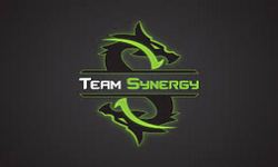 ♥SYNERGY GAMING♥