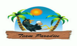 P-Paradise