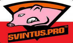 Svintus.pro