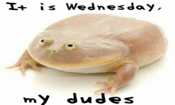 Its Wednesday My Dudes