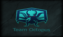 Team Octopus