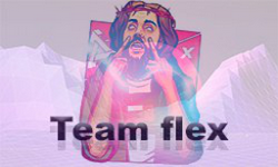TeamFlex