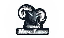 TEAM NAMELESS