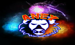 ANEX PRO