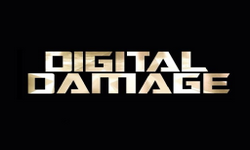 Digital Damage