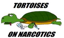 Tortoises on Narcotics