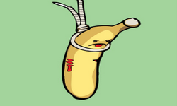 Banana Slayer