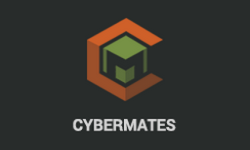 Cybermates