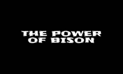 The power of bison 