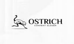 Ostrich Gaming