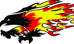 Fire Bird