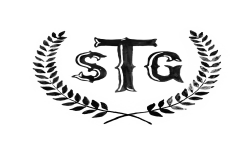 STG-gaming