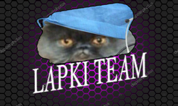 Lapki Team